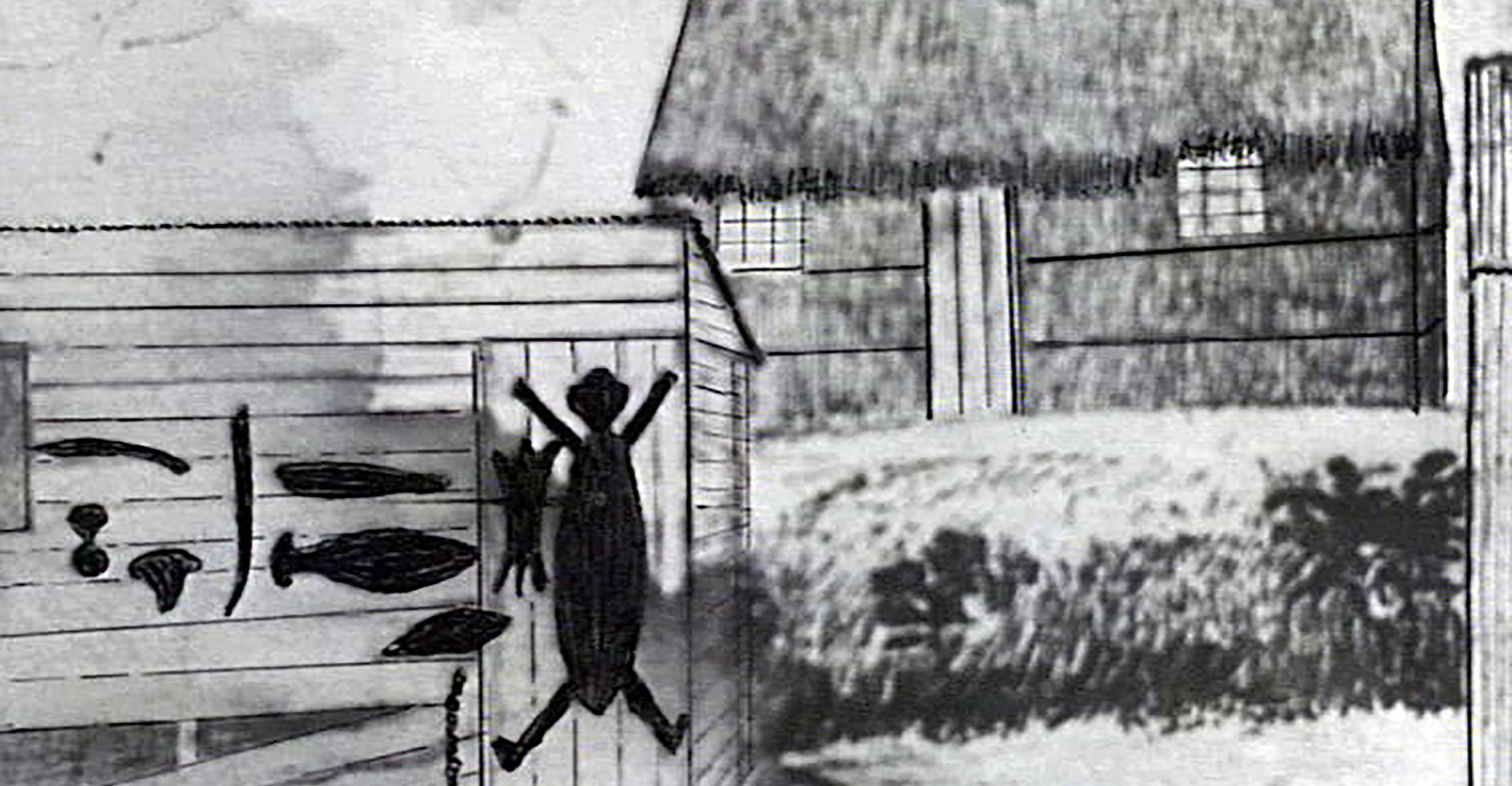 Percy Fuller’s October 1881 sketch of the Watson’s house (background) on Lizard Island records Aboriginal motifs drawn in tar on a storeroom (foreground) (Cairns Historical Society P08310)